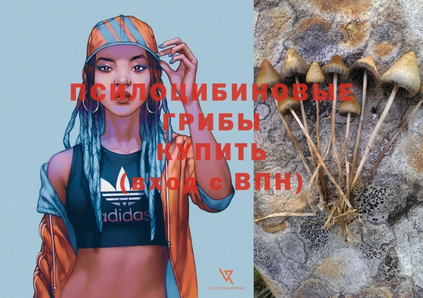 спайс Алексин