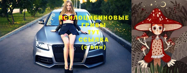 ECSTASY Абаза