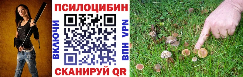 Псилоцибиновые грибы мухоморы  Усть-Илимск 